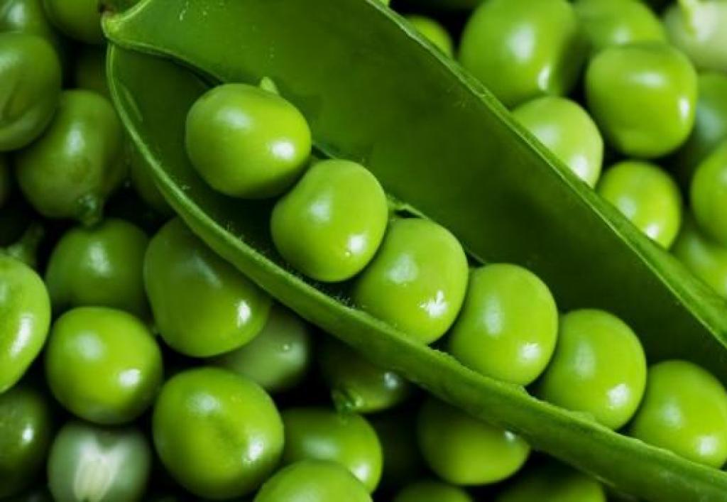 Свіжий зелений горошок - користь і шкода для нашого здоров'я Чи корисний зелений горошок свіжий